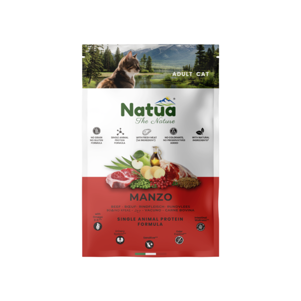 NATUA Adulte Boeuf