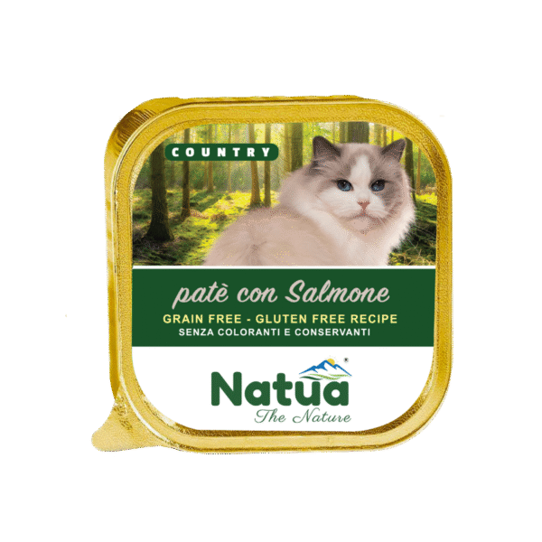 Saumon Natua - 100g